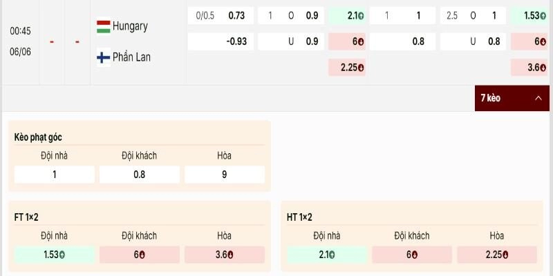 Bảng tỷ lệ kèo trong trận giao hữu Hungary vs Phần Lan